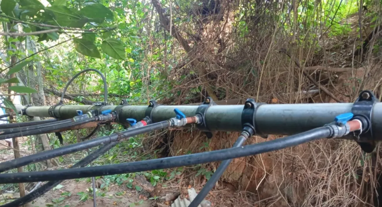 Captura de pantalla 2026-01-14 222949