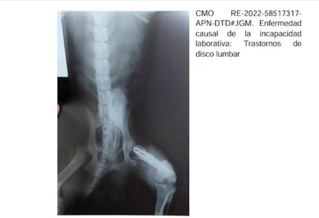 Captura de pantalla 2024-07-19 124219