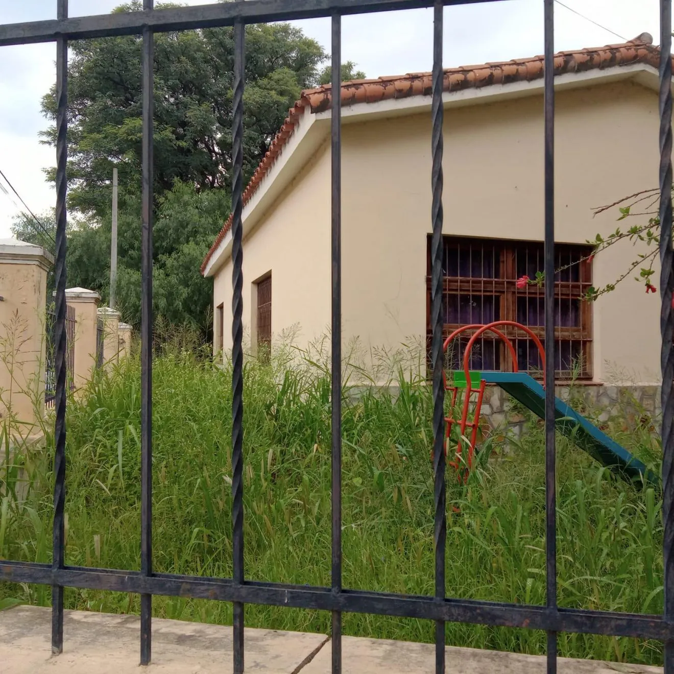escuela desmalezado