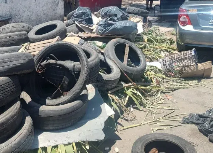 neumaticos basura