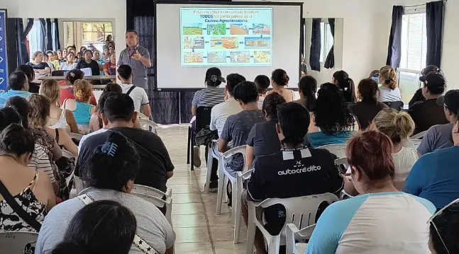 cursos
