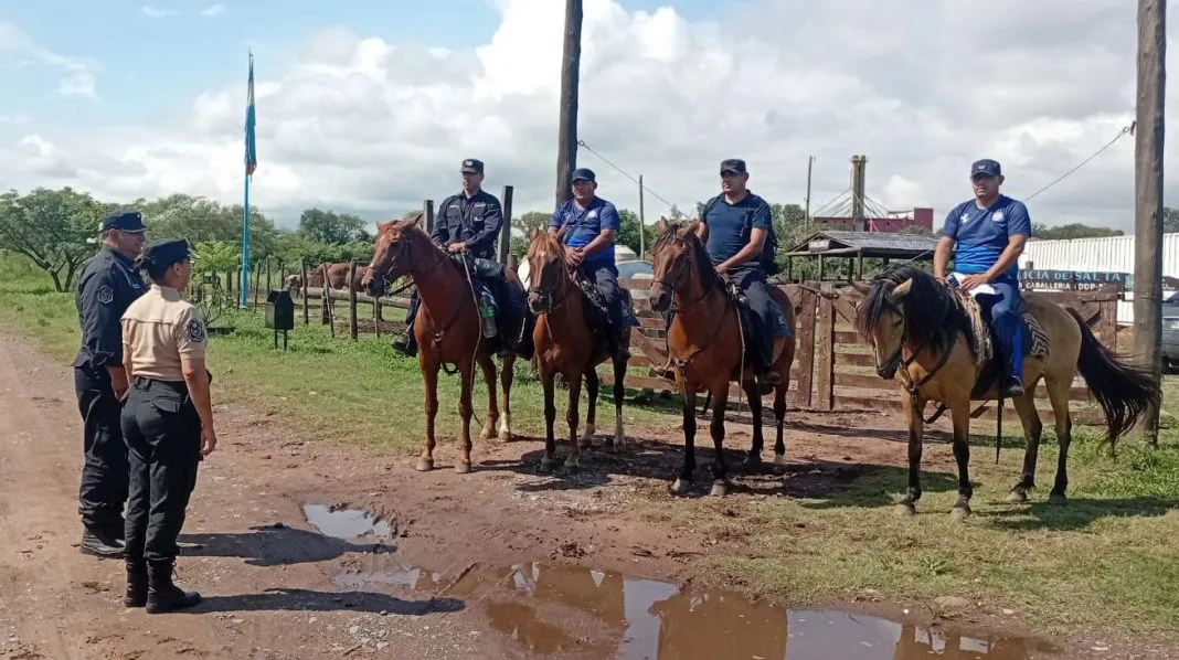 operativo desaparecidos