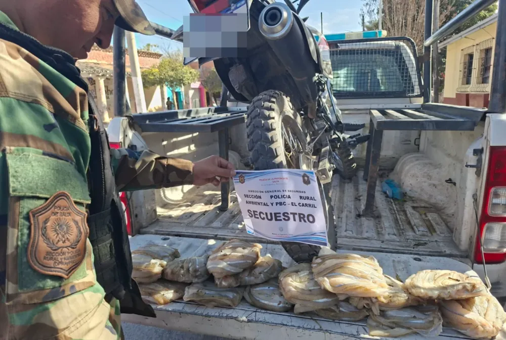 pescados el carriel