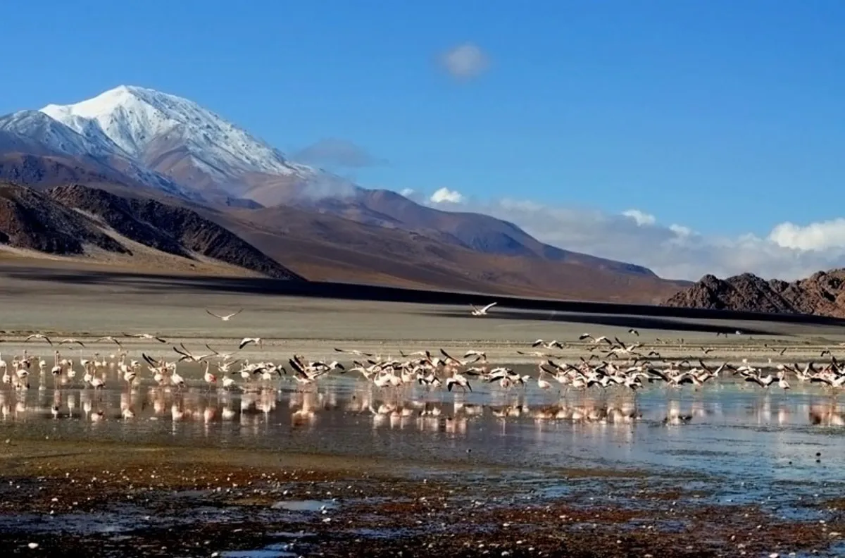 antofagasta