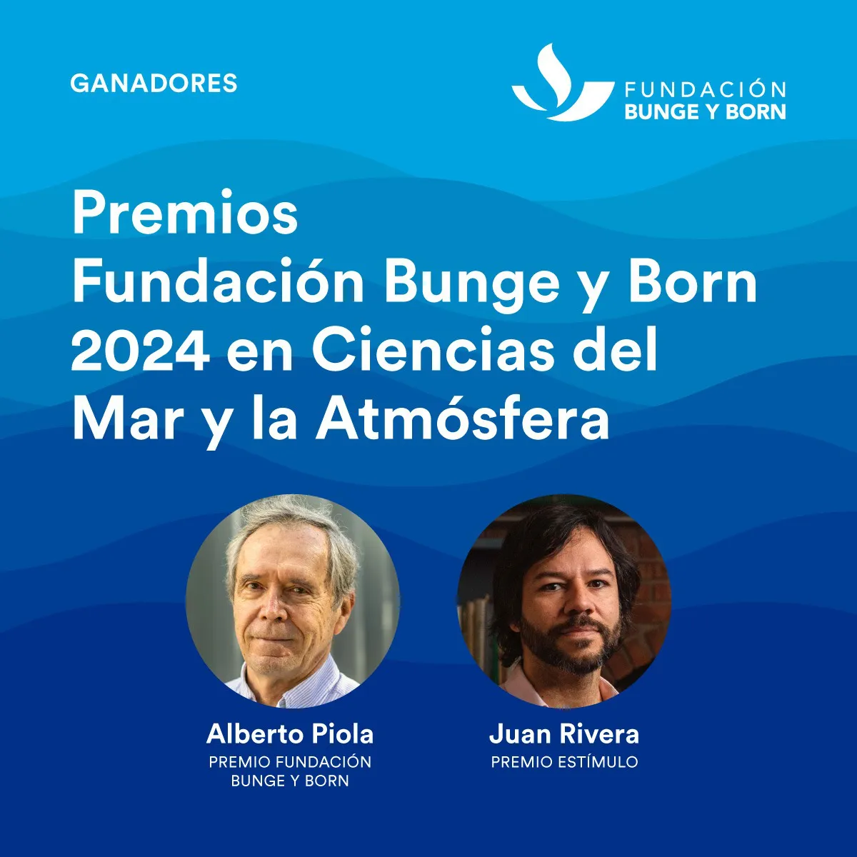 Ganadores FBB 2024
