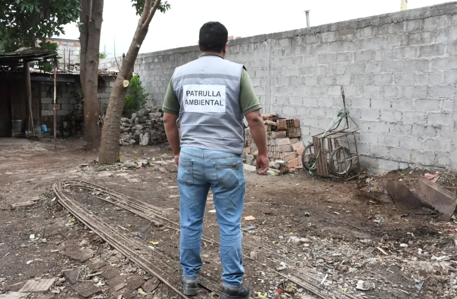 Captura de pantalla 2025-03-16 230427