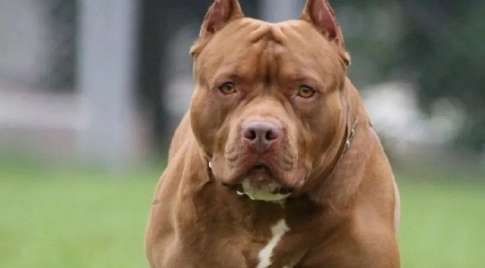 Captura de pantalla 2025-07-09 225546