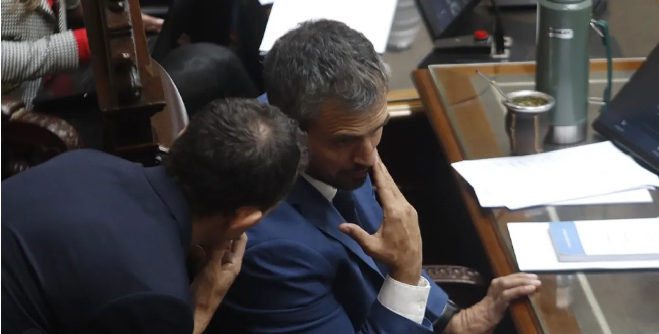 DIPUTADO MENEM