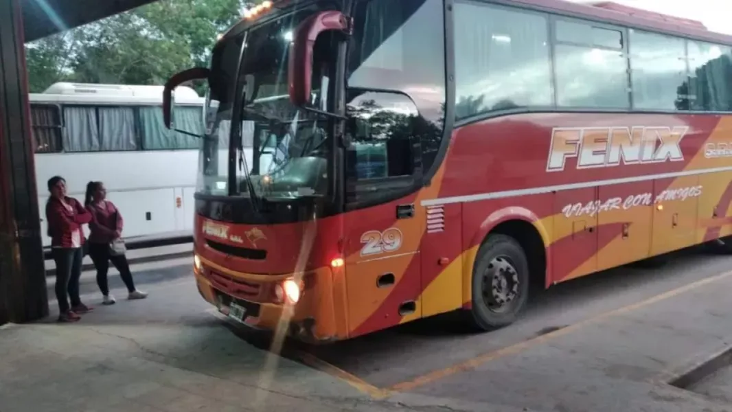 transporte dle interior