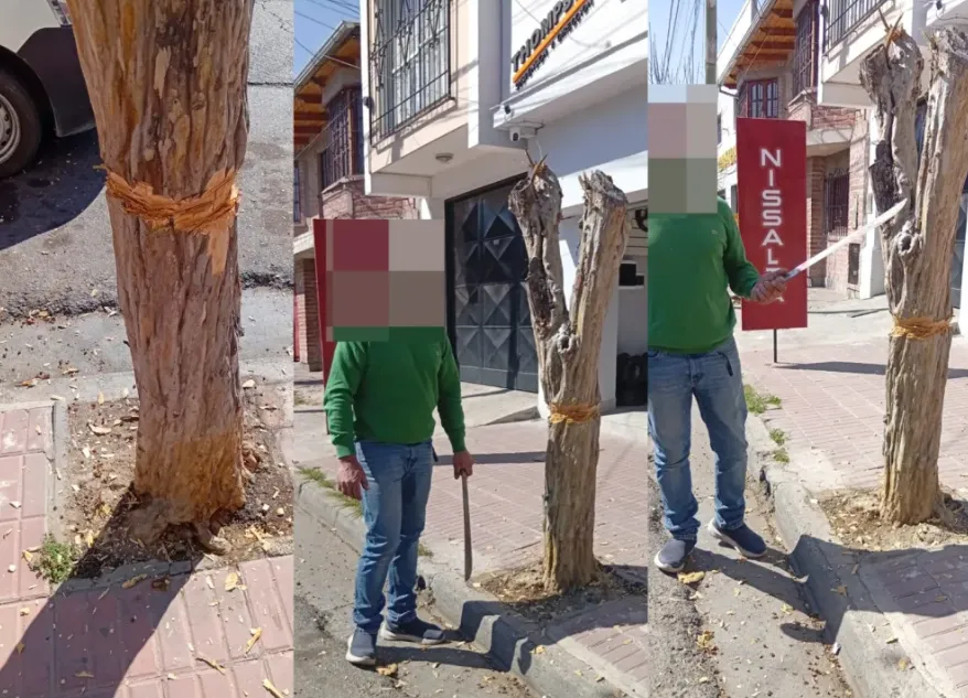 Captura de pantalla 2025-08-31 185817