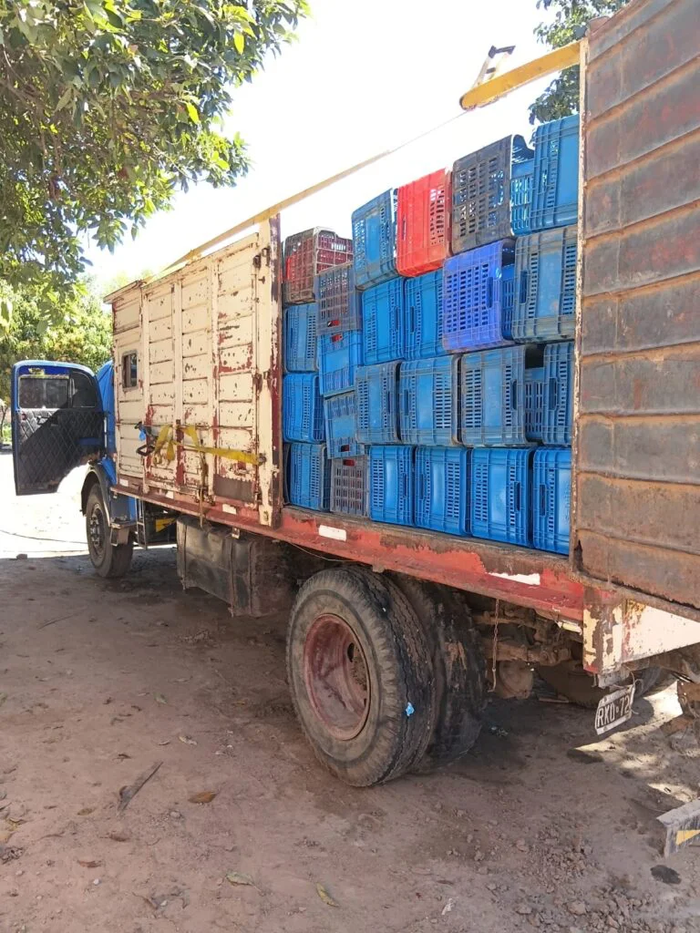 camion cajjones