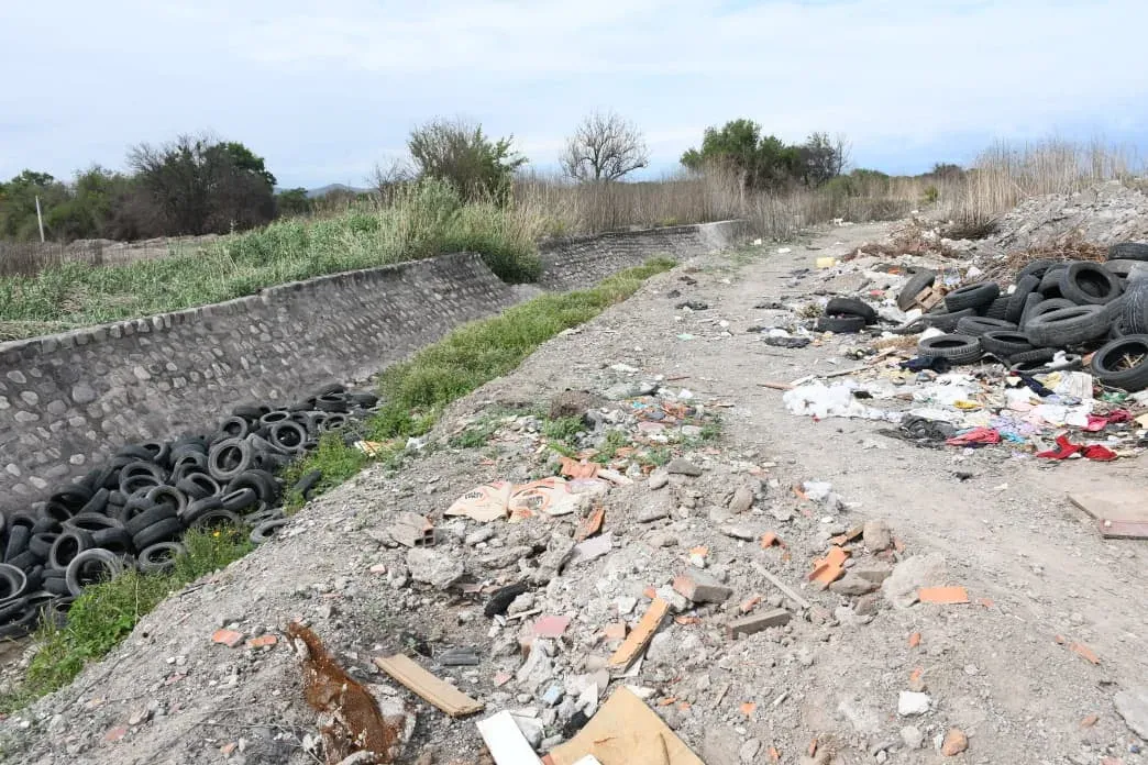 neumáticos río ancho 2