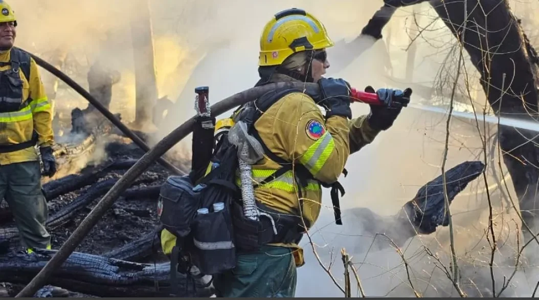 incendios forestales