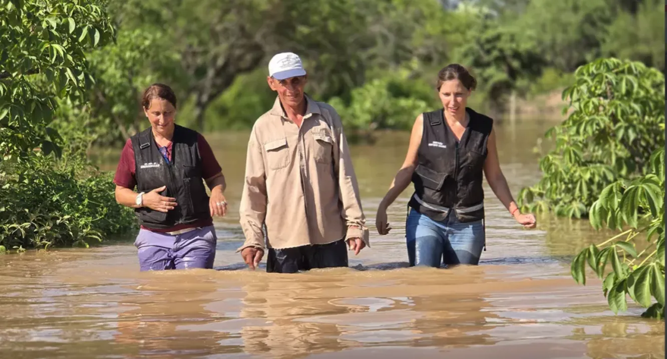 Captura de pantalla 2026-01-25 194730