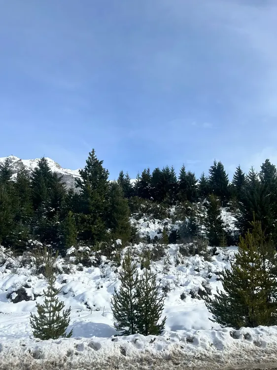 WhatsApp Image 2024-07-04 at 10.33.23 AM