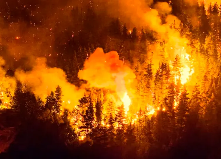 incendios chubut